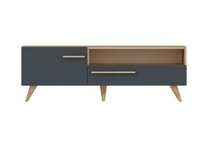 Столик под телевизор Kalune Design Zera, серый/коричневый цена и информация | Тумбы под телевизор | 220.lv