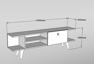 TV galdiņš Kalune Design Idil, balts/brūns цена и информация | Тумбы под телевизор | 220.lv