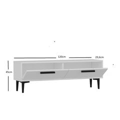 ТВ столик Kalune Design Leni, белый цена и информация | Тумбы под телевизор | 220.lv