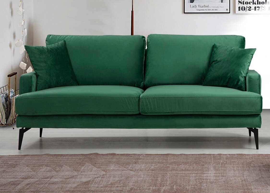 Divvietīgs dīvāns Kalune Design Papira, zaļš cena un informācija | Dīvāni | 220.lv