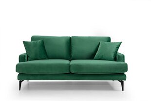 Двуспальный диван Kalune Design Papira, зеленый цена и информация | Диваны | 220.lv