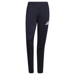 Штаны спортивные мужские adidas Designed To Move Sport Motion Logo GV53014064054408065, черные цена и информация | Мужская спортивная одежда | 220.lv