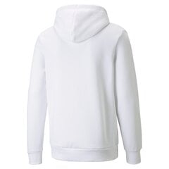 Mужская толстовка Puma BMW Motorsport Essentials Fleece 532250024063699282733 цена и информация | Мужские толстовки | 220.lv