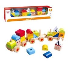 Koka vilciens ar klucīšiem Tooky Toy цена и информация | Игрушки для малышей | 220.lv