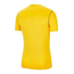 Zēnu sporta T-krekls Nike Park 20 Junior BV6905-719, 61294, dzeltens cena un informācija | Zēnu krekli | 220.lv