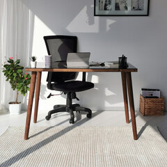 Письменный стол Kalune Design Cozy, коричневый цена и информация | Компьютерные, письменные столы | 220.lv