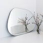 Spogulis Kalune Design Amorphous, caurspīdīgs cena un informācija | Spoguļi | 220.lv