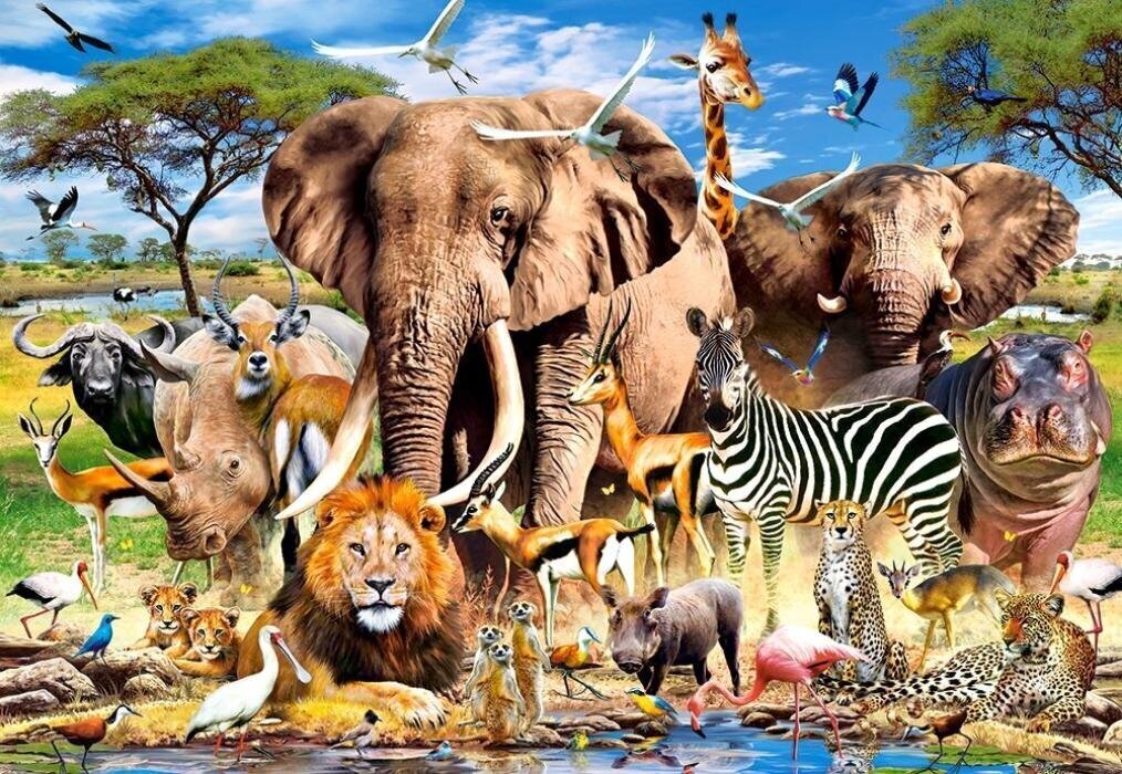 Puzle Puzzle Castorland, "Savanna Animals" 1500 det. цена и информация | Puzles, 3D puzles | 220.lv