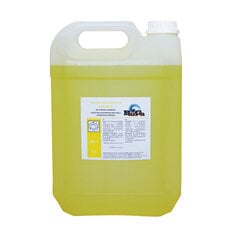BanGa trauku mazgāšanas līdzeklis ar citronu aromātu, 5L цена и информация | Средства для мытья посуды | 220.lv