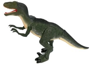 Velociraptor dinozaurs - kustīgs, rūc cena un informācija | Rotaļlietas zēniem | 220.lv