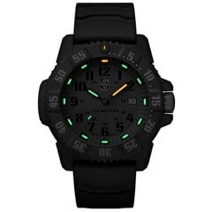 Мужские часы Luminox Master Carbon SEAL XS.3813.L  цена и информация | Мужские часы | 220.lv