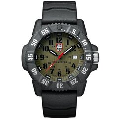 Мужские часы Luminox Master Carbon SEAL XS.3813.L цена и информация | Мужские часы | 220.lv