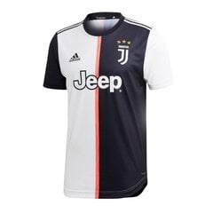 Спортивная футболка мужская Adidas Juventus Home 53241 M DW5456 63962 цена и информация | Мужская спортивная одежда | 220.lv