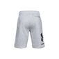 Vīriešu šorti Under Armour Rival Fleece Big Logo Shorts M 1357118-011, pelēki cena un informācija | Sporta apģērbs vīriešiem | 220.lv