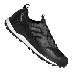 Походные ботинки Adidas Terrex AC7655 Gtx M FW9455, 52960 цена и информация | Кроссовки для мужчин | 220.lv