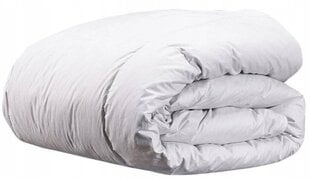 Одеяло, 155х200 см цена и информация | Одеяла | 220.lv