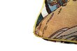 Dekoratīvs spilvena pārvalks Signare Alphonse Mucha Primrose cena un informācija | Dekoratīvie spilveni un spilvendrānas | 220.lv