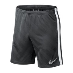 Спортивные шорты для мальчиков Nike Breathe Academy 19 Jr. BQ5812- 060 (51874) цена и информация | Zēnu šorti | 220.lv