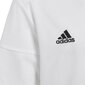 Zēnu sporta T-krekls Adidas Squadra 17, balts BJ9197 цена и информация | Zēnu krekli | 220.lv