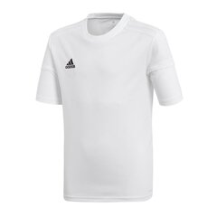 Zēnu sporta T-krekls Adidas Squadra 17, balts BJ9197 цена и информация | Рубашки для мальчиков | 220.lv