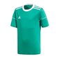 Sporta T-krekls zēniem Adidas Squadra 17 Jr BJ9200, zaļš цена и информация | Zēnu krekli | 220.lv