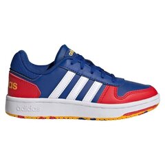 Детская спортивная обувь Adidas Hoops 2.0 Jr FY7016, синяя цена и информация | Детская спортивная обувь | 220.lv
