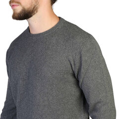 Свитер мужской, серый цена и информация | Мужские свитера | 220.lv