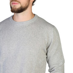 Džemperis vīriešiem C-NECK-M, pelēks cena un informācija | Vīriešu džemperi | 220.lv