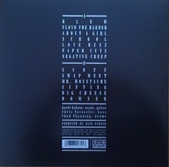 Nirvana - Bleach, LP, vinila plate, 12" vinyl record cena un informācija | Vinila plates, CD, DVD | 220.lv