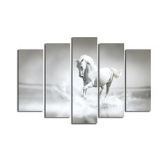 Piecu daļu reprodukcija Balts zirgs cena un informācija | Gleznas | 220.lv