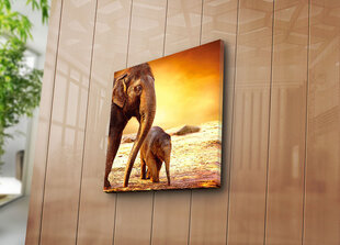 Репродукция Слоны цена и информация | Картины | 220.lv