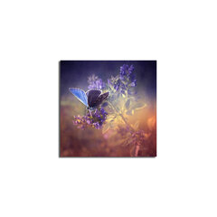 Reprodukcija Tauriņš starp ziediem цена и информация | Картины | 220.lv