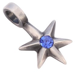 Bico "Petite" kulons ar ziliem kristāliem (MV4 Blue) ar papildu cilpu cena un informācija | Kaklarotas | 220.lv