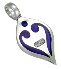 Bico "Heart"s Glow" mazais caurspīdīgais zilais sveķis un metāla kulons (BTS15 Blue) cena un informācija | Kaklarotas | 220.lv
