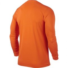 Мужская спортивная футболка Nike Park VI LS M 725884-815 цена и информация | Мужская спортивная одежда | 220.lv