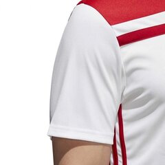 Sporta T-krekls vīriešiem Adidas Regista 18 M CE8969, balts cena un informācija | Sporta apģērbs vīriešiem | 220.lv