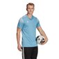 Sporta T-krekls Adidas Regista 20 M FI4560, 59548 цена и информация | Sporta apģērbs vīriešiem | 220.lv