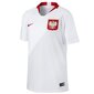 Bērnu sporta t-krekls Nike Stadium Home Junior Polish Team цена и информация | Zēnu krekli | 220.lv