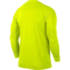 Sporta T-krekls zēniem Nike Park VI LS JR 725970-702 cena un informācija | Zēnu krekli | 220.lv