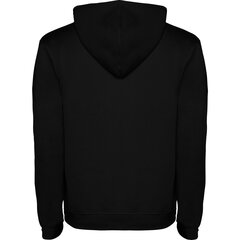 Hoodie jaka ar divu toņu kapuci URBAN SU1067, melna цена и информация | Мужские свитера | 220.lv