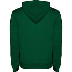 Hoodie jaka ar divu toņu kapuci URBAN SU1067, zaļa cena un informācija | Vīriešu džemperi | 220.lv