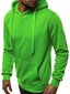 Vīriešu gaiši zaļas krāsas džemperis "Evid" cena un informācija | Vīriešu jakas | 220.lv