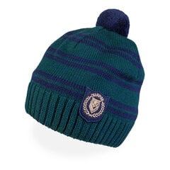 TuTu зимняя шапка для мальчиков, темно-синяя цена и информация | Зимняя одежда для детей | 220.lv