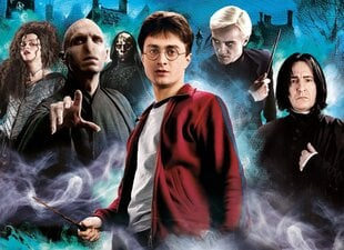 Puzle Clementoni Higt Quality Harry Potter, 39586, 1000 d., 12 g.+ cena un informācija | Puzles, 3D puzles | 220.lv