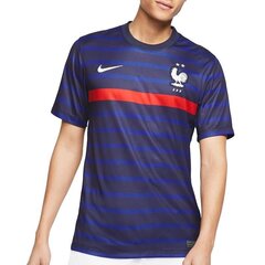 Мужская спортивная футболка Nike France Stadium Home 20/21 M CD0700-498 Tee (65255) цена и информация | Мужская спортивная одежда | 220.lv