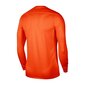 Sporta T-krekls vīriešiem Nike Park VII M BV6706-819, 58342 cena un informācija | Sporta apģērbs vīriešiem | 220.lv