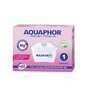 Aquaphor B25 Maxfor+ MG цена и информация | Ūdens filtri | 220.lv