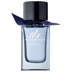 Burberry Mr. Burberry Indigo EDT vīriešiem 100 ml cena un informācija | Vīriešu smaržas | 220.lv