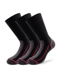 Спортивные носки Lenz Performance цена и информация | Мужские носки | 220.lv