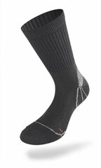 Носки треккинговые Lenz Trekking 1.0 / 2 пары цена и информация | Мужские носки | 220.lv